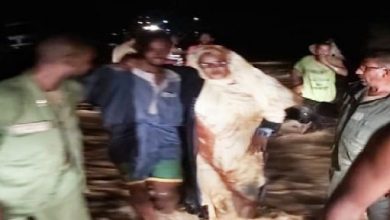 صورة الدرك الوطني ينقذ سبعة أشخاص جرفت السيول شاحنتهم بمدينة أطار