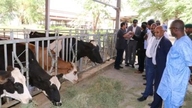 صورة ورشة تفكيرية حول التصدي لحمى الوادي المتصدع