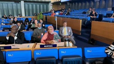 صورة مفوضة الأمن الغذائي تلقي كلمة أمام لجنة الأمن الغذائي في منظمة F A O 