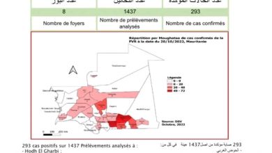 صورة وزارة التنمية الحيوانية : عدد حالات حمى الوادي المتصدع المؤكدة هي 293 حالة 