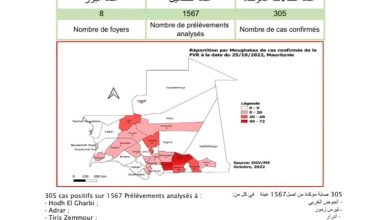 صورة الإصابات المؤكدة بحمى الوادي المتصدع تصل  305 متفرقة بين 8 بؤر 