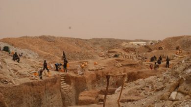 صورة موريتانيا /  الجيش يوقف 40 منقبا عن الذهب قرب الحدود الشمالية