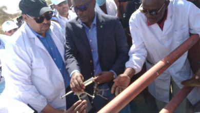 صورة كيفه /  إنطلاق الحملة الوطنية لتحصين المواشي 2022 – 2023  من منطقة ” بوكمارة ” التابعة لبلدية كيفه 