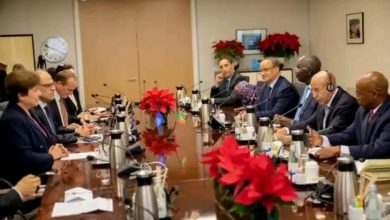 صورة رئيس الجمهورية يجري مباحثات مع المديرة العامة لصندوق  النقد الدولي