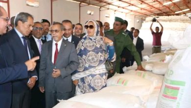 صورة وزير الزراعة و مفوضة الأمن الغذائي يستلمان  5 آلاف طن من الأسمدة مقدمة من المملكة المغربية