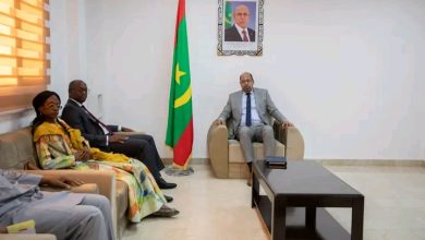 صورة وزير التنمية الحيوانية يستقبل الممثل المقيم لبرنامج الأمم المتحدة للتنمية