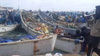 صورة نواذيبو/ إنطلاق أنشطة الصيد التقليدي أمس الأربعاء