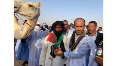 صورة إنطلاق النسخة الثانية من سباق الهجن في مدينة الشامي 