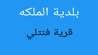 صورة بلدية الملكه/ تضارب الأنباء بخصوص نجاح تظاهرة سياسية لمرشح حلف الوفاء في قرية فنتلي