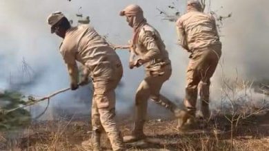 صورة لعصابه/  الجيش الوطني يعلن إخماد حريق في مراعي تابعة لبلدية تناها