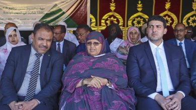 صورة   جهة نواكشوط تطلق برنامجا لتكوين 1500 من الشباب الموريتاني