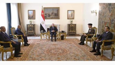 صورة وزير الدفاع الوطني يسلم رسالة خطية من رئيس الجمهورية إلى نظيره المصري