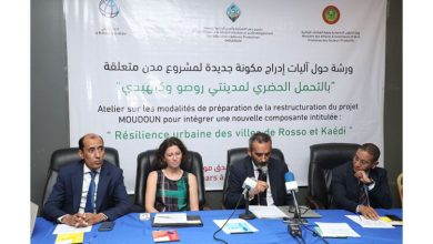 صورة مشروع  “مدن ” ينظم ورشة حول آليات إدراج مكونة جديدة متعلقة بالتحمل الحضري لمدينتي روصو و كيهيدي”.