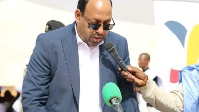 صورة تامشكط/  وزير التنمية الحيوانية يشرف على انطلاق مشروع SECURALIM لدعم الاكتفاء الذاتي في مجال الانتاج الحيواني
