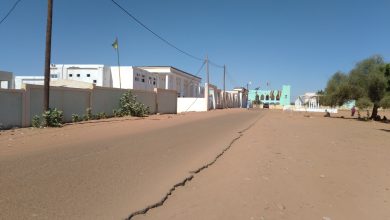 صورة كيفه/ جميع اللوائح التي تم إيداعها لدى ممثلية اللجنة الوطنية المستقلة للانتخابات بالمقاطعة