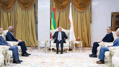 صورة رئيس الجمهورية يستقبل الممثل الخاص للأمين العام للأمم المتحدة في مالي