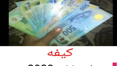 صورة كيفه/ لهذه الاسباب من الضروري التنسيق بين المترشحين