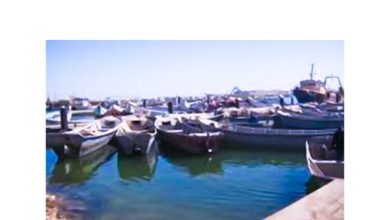 صورة وزارة الصيد تحدد تاريخ نهاية الراحة لبيولوجية و إستئناف الصيد البحري 