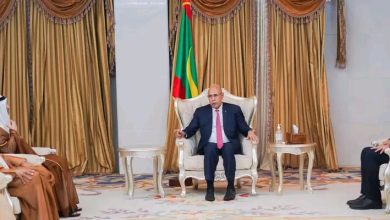صورة رئيس الجمهورية يستقبل وزير التربية والتعليم الإماراتي