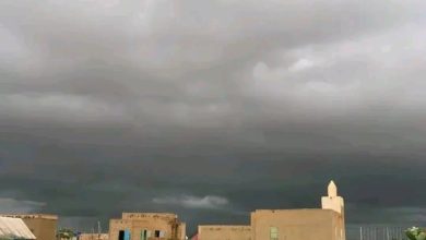 صورة مقاييس آخر التساقطات المطرية على ولايات من بينها لعصابه