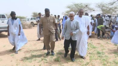 صورة أطار / إطلاق الحملة الزراعية المطرية للموسم 2023 على مستوى ولاية ادرار 