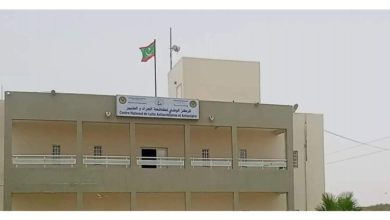 صورة وزارة الزراعة : لاوجود للجراد الصحراوي على التراب الوطني ( بيان )