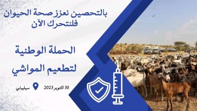 صورة الحملة الوطنية لتطعيم المواشي تنطلق من ولاية كيدي ماغا غدا الإثنين