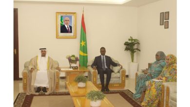 صورة الوزير الأول يجري مباحثات مع السفير الإماراتي المعتمد لدى موريتانيا 
