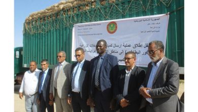 صورة وزارة الزراعة توزع 550 طن من بذور البطاطس على مناطق الإنتاج بالولايات الداخلية 