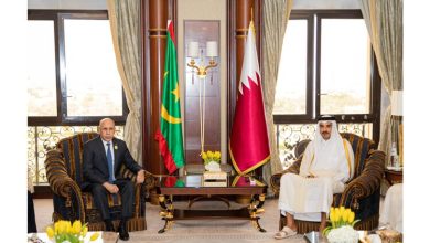 صورة رئيس الجمهورية يجري مباحثات مع أمير دولة قطر الشيخ تميم بن حمد آل ثاني 