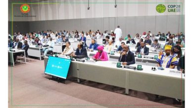 صورة وزيرة البيئة تمثل موريتانيا في إجتماع وزراء الدول الأقل نمواً وتأثيرات المناخ 