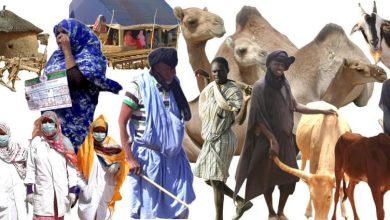 صورة بدأ المشروع الجهوي لدعم النظام الرعوي في الساحل PRAPS_MR