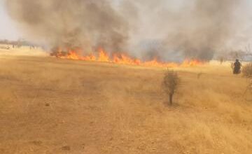 صورة كنكوصة/ أين هو عمدة بلدية ابلاجميل مع دخول الحريق يومه الرابع في ظل ضعف الجهود الأهلية في التصدي له وإيقافه ؟