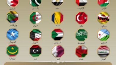 صورة من ضمنها موريتانيا 20  دولة ترفض الهجوم الإسرائيلي على إيران 