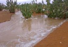 صورة المقاييس المسجلة لآخر التساقطات المطرية على ولايتي كيدي ماغا و الحوض الشرقي