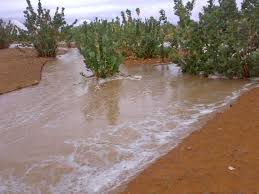 صورة المقاييس المسجلة لآخر التساقطات المطرية على ولايتي كيدي ماغا و الحوض الشرقي