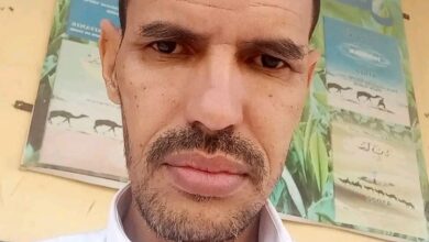 صورة مسؤول الإعلام بمكتب الجالية الموريتانية في غينيا بيساو يطالب السلطات بوضع حد لمعاناة الموريتانيين العابرين للأراضي السينغالية