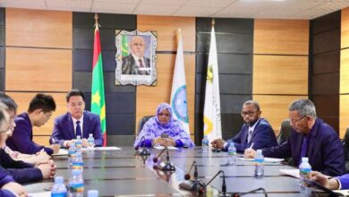 صورة رئيسة جهة نواكشوط السيدة فاطمة عبد المالك  تعقد جلسة عمل مع وفد صيني رفيع المستوى