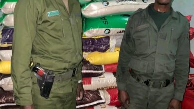 صورة الجمارك تُحبط عمليات تهريب وتضبط أكثر من 8 أطنان من الأرز ومحروقات: