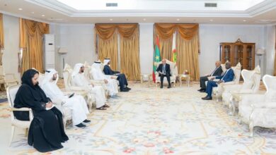 صورة رئيس الجمهورية يستقبل في القصر الرئاسي وفد إماراتي رفيع المستوى 