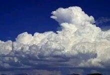 صورة رياح شمالية شرقية تؤدي إلى تدني مستوى الرؤية على ولاية لعصابه ( النشرة الجوية ) 