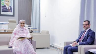 صورة وزيرة المياه و الصرف الصحي السيدة آمال بنت مولود يجري لقاء مع السفير الفرنسي المعتمد لدى بلادنا