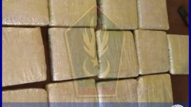 صورة الدرك الوطني يحبط محاولة تهريب كمية من القنب الهندي المخدر إلى العاصمة نواكشوط