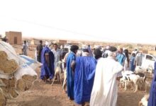 صورة المملكة العربية السعودية ترفع الحظر على استيراد المواشي من موريتانيا