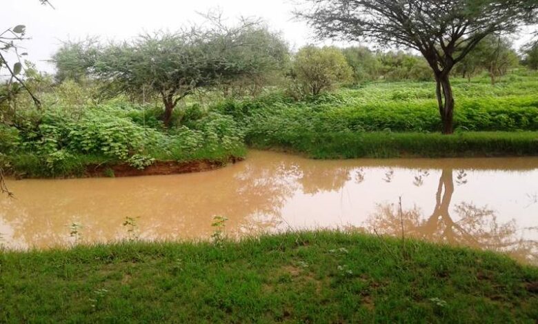 مقاييس التساقطات المطرية مساء أمس و فجر اليوم على ولايات من بينها لعصابه