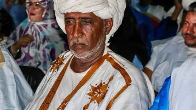 صورة مجموعة أهل الجيلاني دخلت مدينة كيفه في مسيرة من عدة سيارات لإنجاح مهرجان حزب الإنصاف