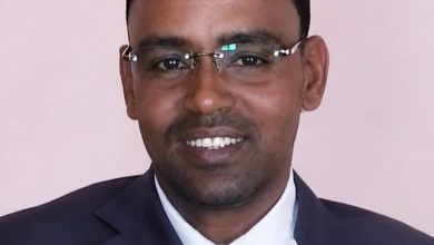 صورة بلوار… حين تتحدث التنمية بلغة الواقع / محمد غالي سيدي عثمان