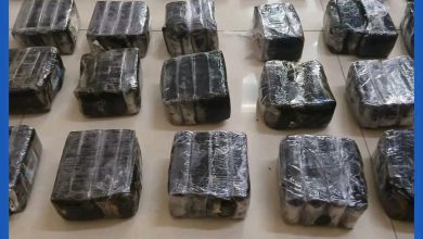 صورة الدرك الوطني يلقي القبض على شبكة لترويج و تهريب المخدرات في مدينة ازويرات